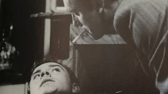 Vrijdag (1980)
