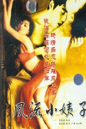 风流小姨子 poster