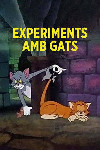 Cartell de Experiments amb gats