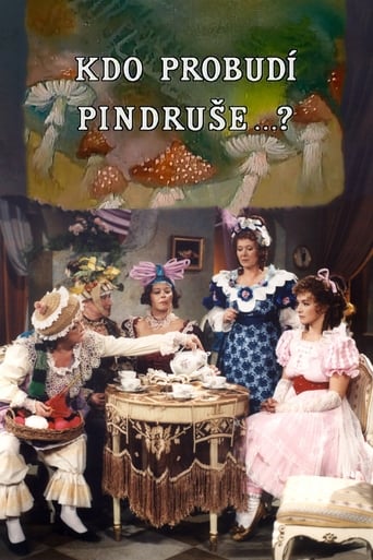 Poster of Kdo probudí Pindruše ...?