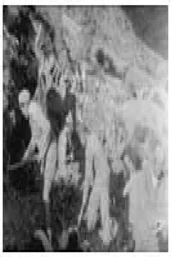 Our First Sparks (1951)
