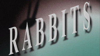 Rabbits media image