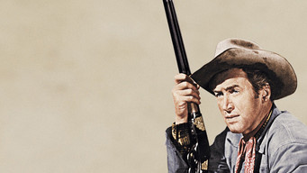 #19 Winchester '73