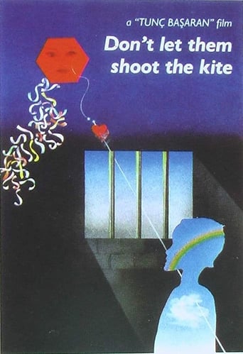 Don't Let Them Shoot the Kite