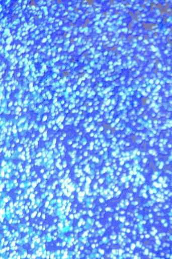 La Petite Nuit poster