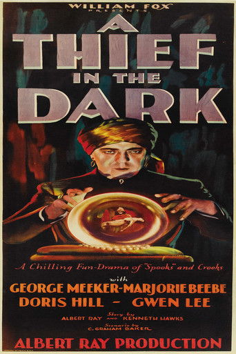 A Thief in the Dark (1928)