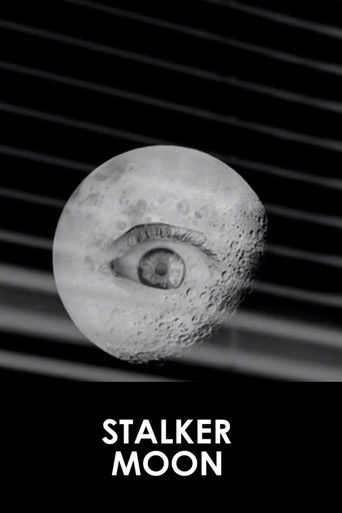 Stalker Moon poster 2