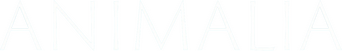 Animalia logo