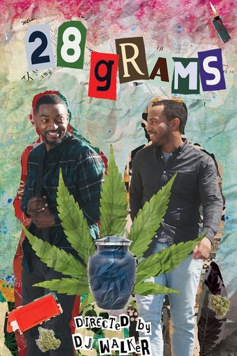 28 Grams poster