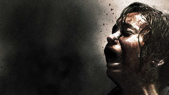 Galeria 3 - Silent Retreat