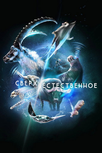 Постер «Сверх/Естественное»