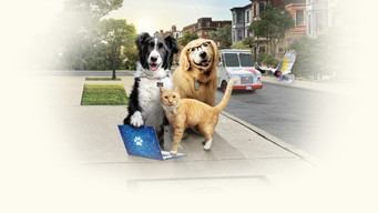 Galeria 1 - Como perros y gatos: La patrulla unida