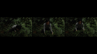 Still 1 from Anitya (Impermanence)