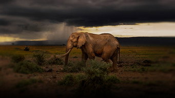 #10 Chasing the Rains