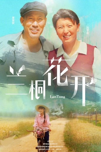 Poster of 兰桐花开