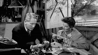 Without Love (1945)