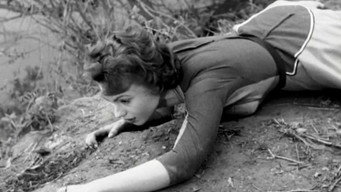 Jailbirds (1954)