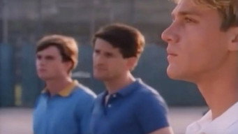 The Disco Years (1991)