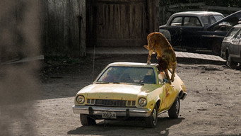 #4 Куджо