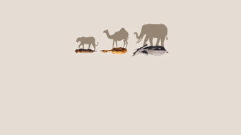 #7 Mammals
