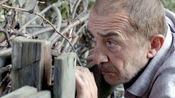 #8 Шіндісі