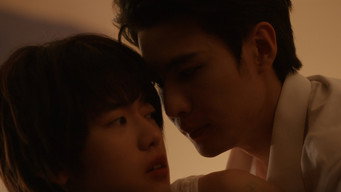 Assistir The Missing Piece Online