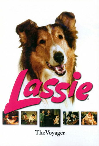 Lassie: Disappearance