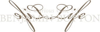 The Curious Case of Benjamin Button logo