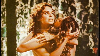 O Cortiço (1978)