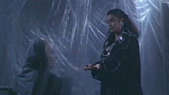 Phoenix the Warrior (1988)