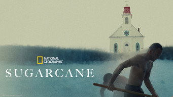 #8 Sugarcane
