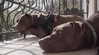 Episode 7 — Episode 7