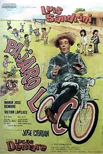 Poster of Pájaro loco