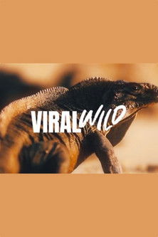 Viralwild poster