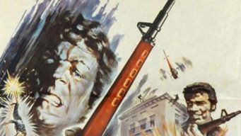 The Zebra Force (1976)