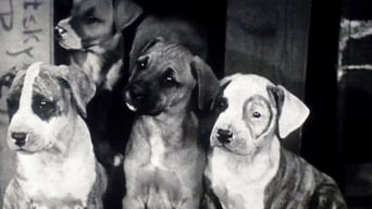 Pups Is Pups (1930)