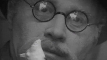 The Dove (1968)