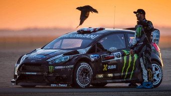 #5 Gymkhana