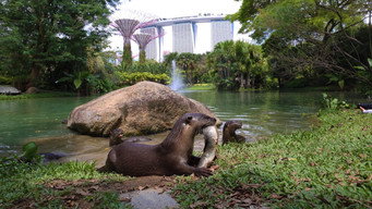 Uptown Otters (2022- )