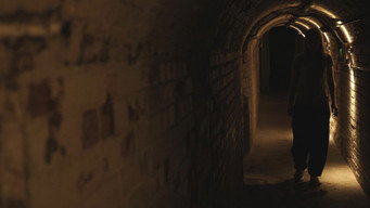 #5 The Cellar