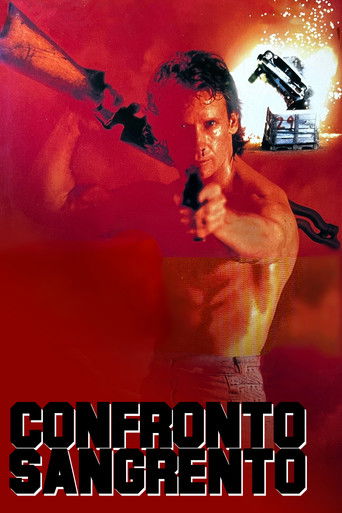 Poster de Confronto Sangrento