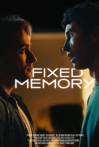 Fixed Memory (2024)