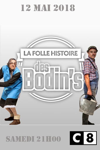 La Folle Histoire des Bodin's poster