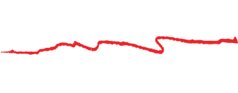 Roadkill Garage logo