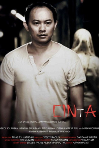 CINtA