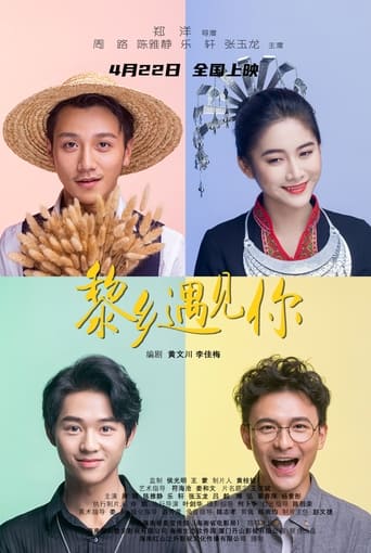 Poster of Meeting You in Hainan Island