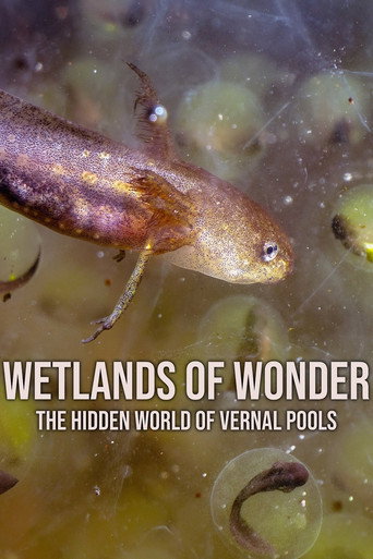 Wetlands of Wonder: The Hidden World of Vernal Pools