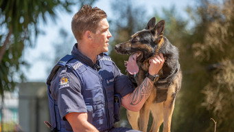 Dog Squad (2010- )