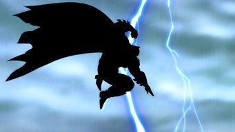 Batman: The Dark Knight Returns (2013)