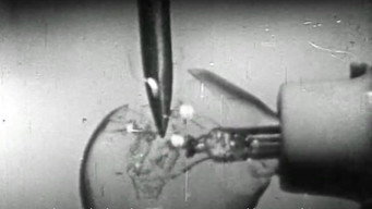 Report (1967)